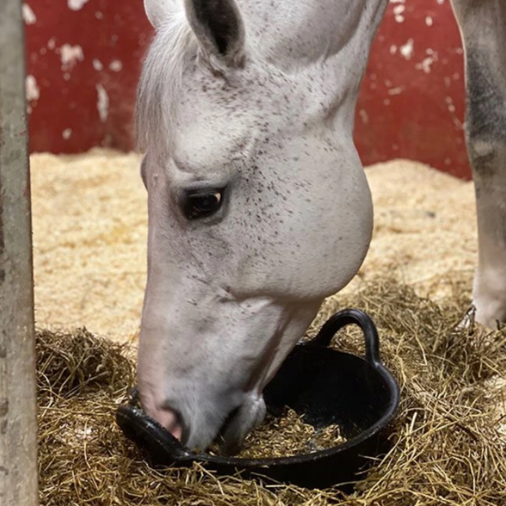 Gumijas barotava, 11 litri